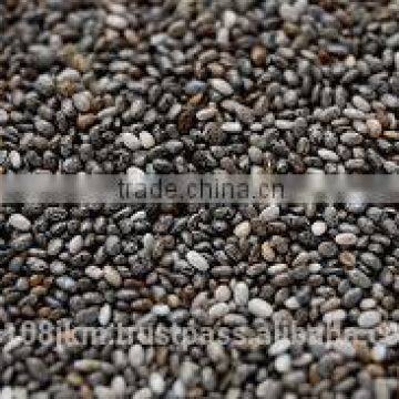 PREMIUM INDIAN CHIA SEED