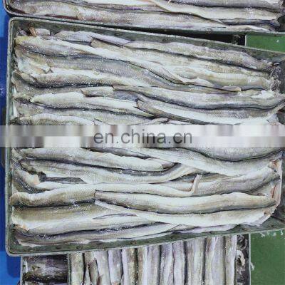 Top Quality Sea Frozen Eel Fish Fillet Frozen Conger Eel Fillet 90-200g Head off Tail off Gutted off