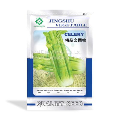 Boutique Ventura Celery Seeds      Celery Seeds Suppliers      Cheap Celery Seeds     Chinese Celery Seeds For Sale