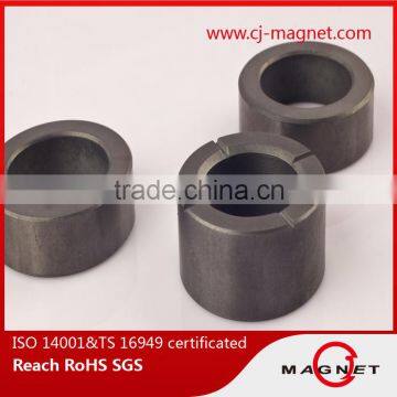 Radial oriented ring magnet of ferrite magnets
