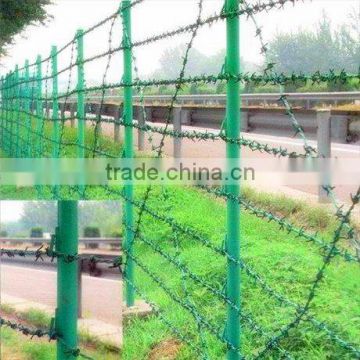 prison fence with razor barbed wire