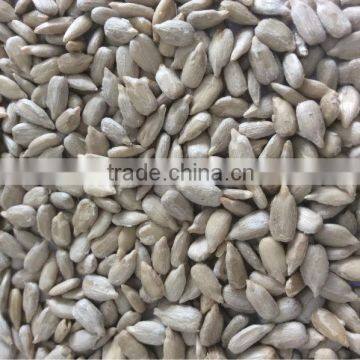 sunflower seed kernels with good quality market price