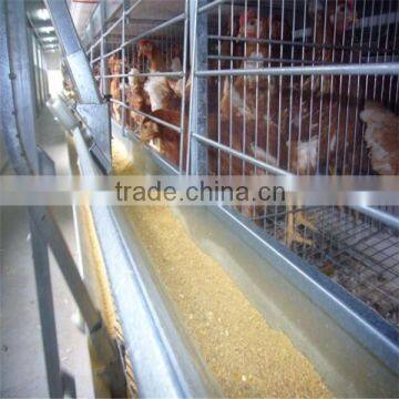 hot selling automatic broiler cages