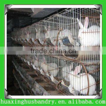 professional automatic farm used rabbit cages for sale