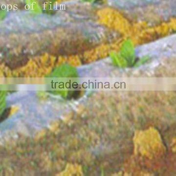 plastic film blowing biodegradable plastic film