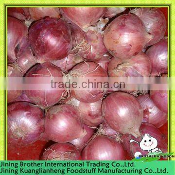 low price China fresh red onion