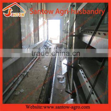 Factory Design Full-auto Hot-dipped Farm Equipment for Broiler Chicken photo-2