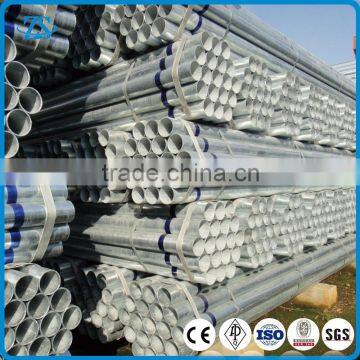 Q195 1.5 Inch Galvanized Steel Pipe / Tube Manufacturer For Greenhouse