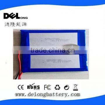 Lithium Ion Battery Pack