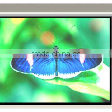 2015 Wholesale Retail High Quality Factory Motorized Screen Matte White ce Rohs Fast Delivery photo-4