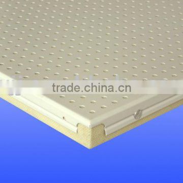 Perforated Acoustical Panel