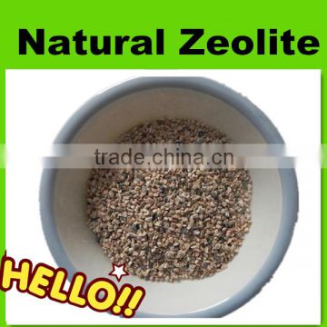 Activated zeolite filter media for water treatment