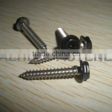 hex washer PH tapping screw powder sprayed SS