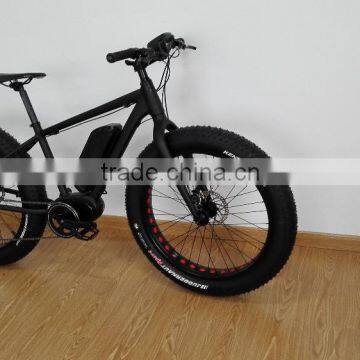 electric fat bike mid drive motor europe (HJ-M20 )