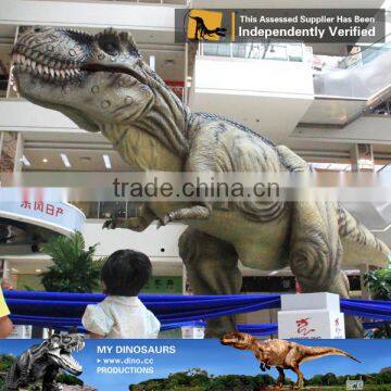 MY Dino-C087 Museum realistic resin dinosaur models