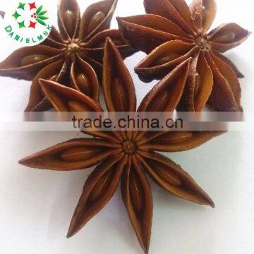 100% natural Guangxi star aniseeds without stem
