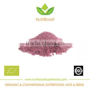 Organic Blueberry Powder