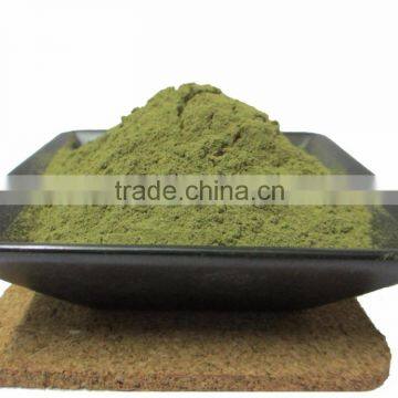 Brahmi Powder / Bacopa Monnieri (for Ayurvedic Health Product Formulation)