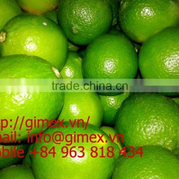 Viet Nam fresh lemon 2015