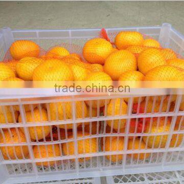 Companies Imported Fruit Orange Fruit Price photo-3