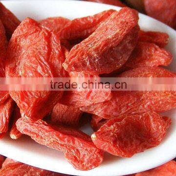 Chinese Dried Wolfberry Ningxia goji plant berry berries for sale in bulk