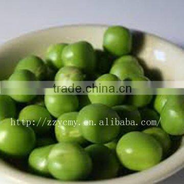 canned pea green food colour for sale