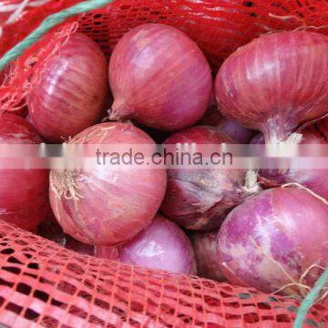 2014 new crops fresh onion