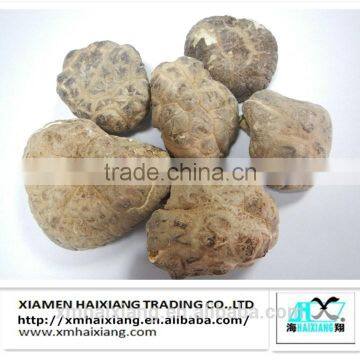 Wholesale big size dried mushroom