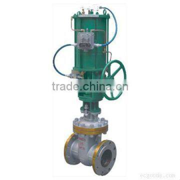 SS 316LN Gate Valve