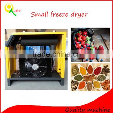 Top quality small vacuum freeze dryer price