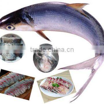 Industrial Fish Slicer/fish Slicing Machine photo-2