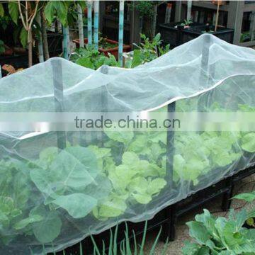 PE insect screen net for organic vegetables