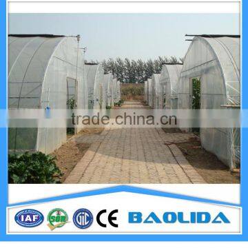 Galvanized Steel Framework Vegetable Used Green House For Sale photo-3