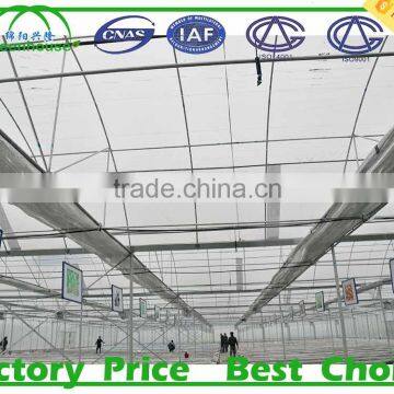 Commercial Industrial Greenhouse for Sale photo-3