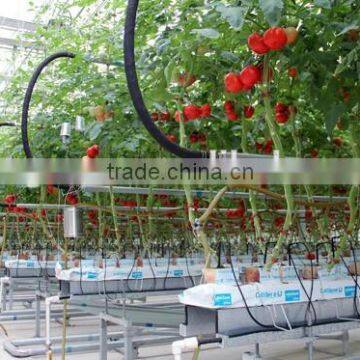 Hydroponic Growing Greenhouse photo-3