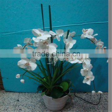 2017 GZ High Quality Colorful Plastic Flowers for Hotel Decoration Artificial Orchid for Sale photo-2
