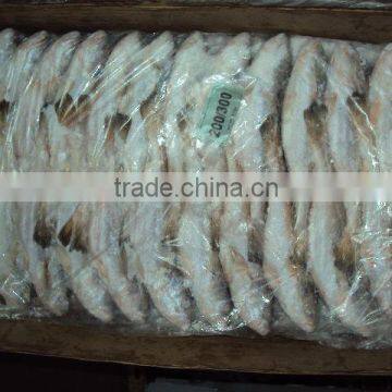Frozen Silver Croaker