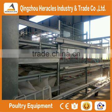 Trade Assurance Automatic Chicken Broiler Cage for Sale photo-3