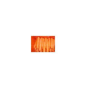 carrot