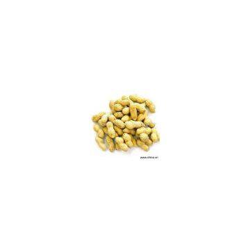 Sell Chinese Peanut Kernels