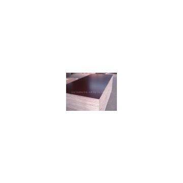 21mm Brown Film Faced Plywoods