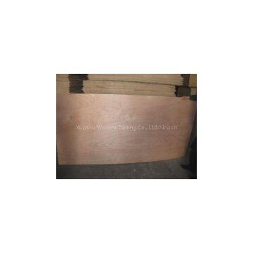 Poplar Plywood