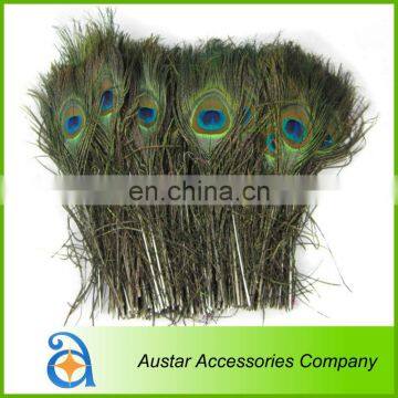 High Quality Peacock Feather Pieces FOR Decorative