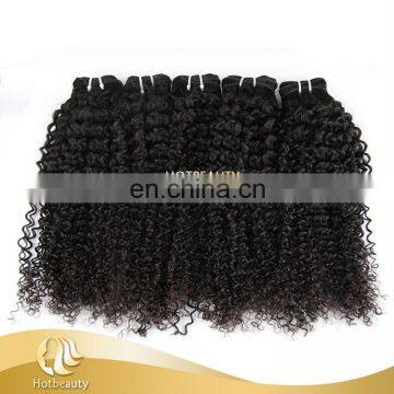 20 Inch Virgin Brazilian Kinky Curly Hair Weave