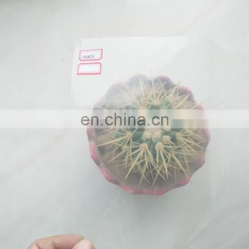 Agriculture polyethylene plastic sheet 0.02mm mulch film