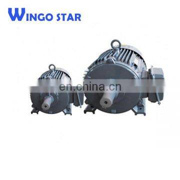 AC Electric Motor