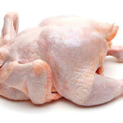 Best Price Grade Quality Frozen Whole Chicken photo-3