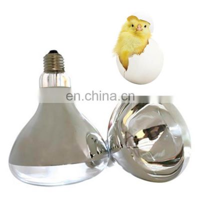 Poultry livestock farm use energy efficient infrared heat lamp for animals