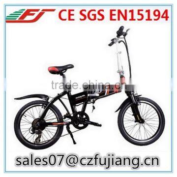 FJTDM02 folding electric mountain bike,electric folding bike
