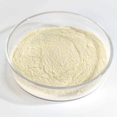 High Activity Freeze-dried Lactobacillus Plantarum Powder Food Grade Bulk Probiotics for Gut Health Supplements & Food Industry photo-2